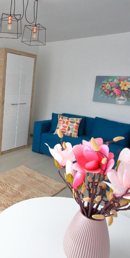 Apartament Delora View Bumbesti-Jiu Exterior foto